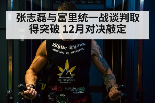 张志磊与富里统一战谈判取得突破 12月对决敲定