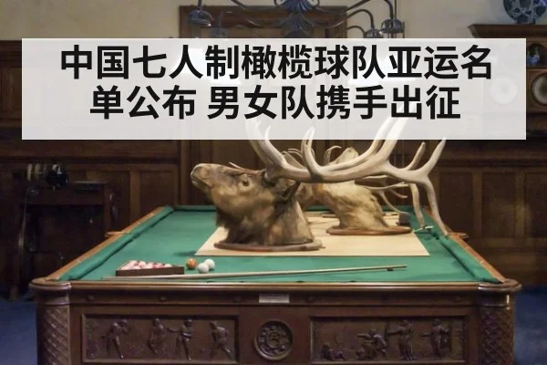 中国七人制橄榄球队亚运名单公布 男女队携手出征